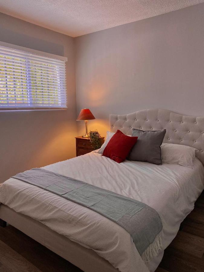 Acogedor Departamento Totalmente Remodelado, Tranquilo Y Centrico * Ciudad Juarez